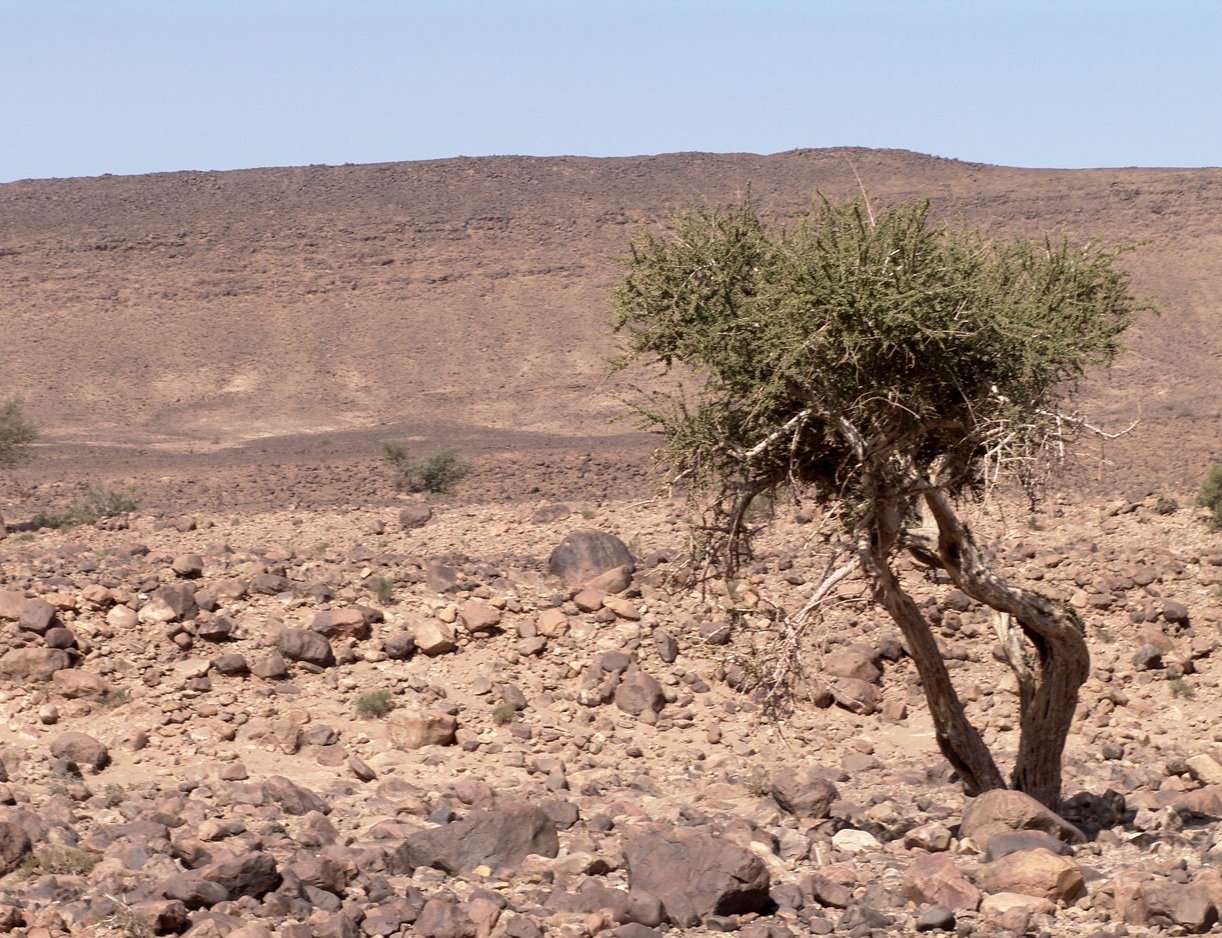 Die Wüsten: Nicht nur in der Natur gibt es unterschiedliche Wüsten – hier eine Steinwüste –, sondern auch im menschlichen Seelenleben.