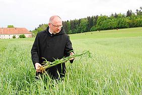 Frater Richard auf einem Feld der Benediktinerabtei Plankstetten. Seit 20 Jahren betreiben die Mönche dort ökologischen Landbau. pde-Foto: Abtei Plankstetten