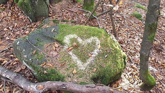 Felsen mit Moos und Herz im Wald