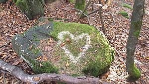 Felsen mit Moos und Herz im Wald