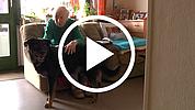 Lucky - der Therapiehund für Senioren