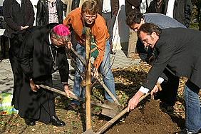 Als symbolischen Auftakt eines Aktionsjahres für das kirchliche Umweltmanagement (KirUm) pflanzten die Teilnehmer des KirUm-Netzwerks einen Baum im Garten des bischöflichen Jugendamtes.