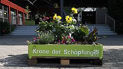 Blumenkasten zum Thema "Krone der Schöpfung?!". Foto: Johannes Heim/pde