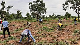 Arbeit auf den Feldern in Chinderi in Ghana