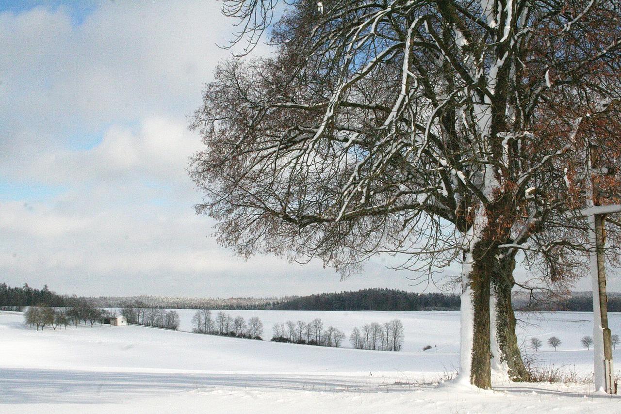 Winterlandschaft bei Buchenhüll. Foto: Heberling