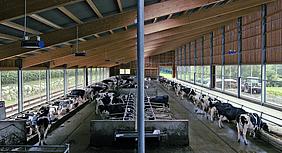 Moderne Milchproduktion – Szene aus „Bauer Unser“. pde-Foto: Allegro Film