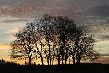 Sonnenuntergang  auf dem Frauenberg bei Eichstätt. pde-Foto: Geraldo Hoffmann