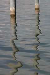 2 Holzstämme spiegeln sich im See