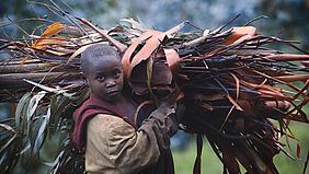 Ruandisches Kind trägt ein Holzbündel - Filmszene aus "Das größte Geschenk". Foto: Infinito+1