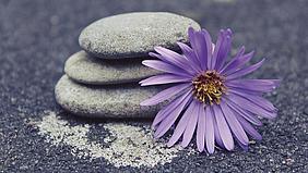 Eine Blume liegt vor einem Stein