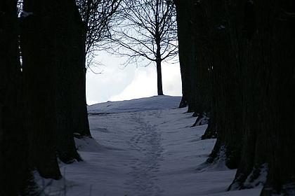 Auch im Winter ist der Frauenberg ein beliebtes Wanderziel von Einheimischen und Touristen. pde-Foto: Geraldo Hoffmann