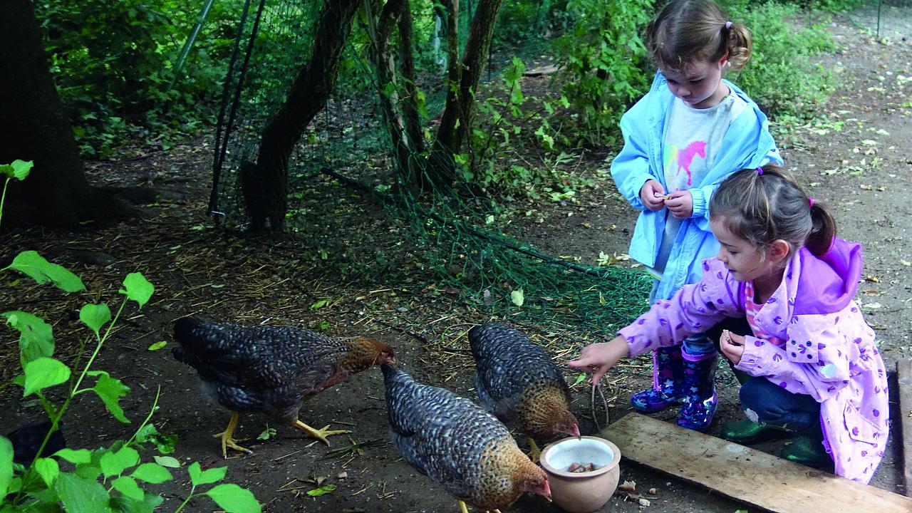 Zwei Mädchen beim Füttern von Hennen
