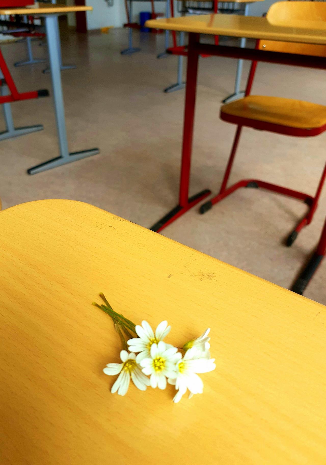 Gänseblümchen auf einem Schultisch
