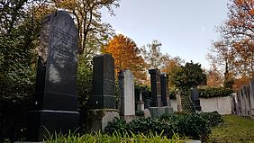 Der jüdische Friedhof in Ingolstadt ist eines der Themen. pde-Foto: Daniela Olivares
