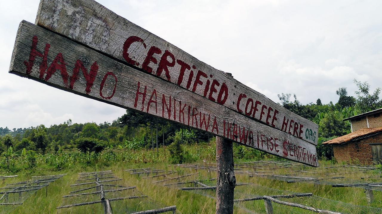 Wegweiser zu einer Kaffeeplantage für fairen Kaffee in Burundi